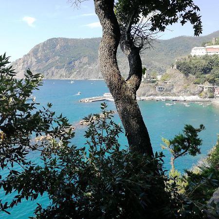 Nel Cuore Di Monterosso Cinque Terre Orto Di Ciack Монтероссо-аль-Маре Екстер'єр фото