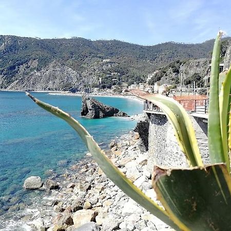Nel Cuore Di Monterosso Cinque Terre Orto Di Ciack Монтероссо-аль-Маре Екстер'єр фото
