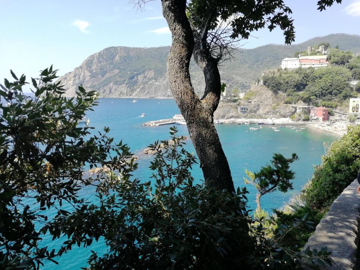 Nel Cuore Di Monterosso Cinque Terre Orto Di Ciack Монтероссо-аль-Маре Екстер'єр фото