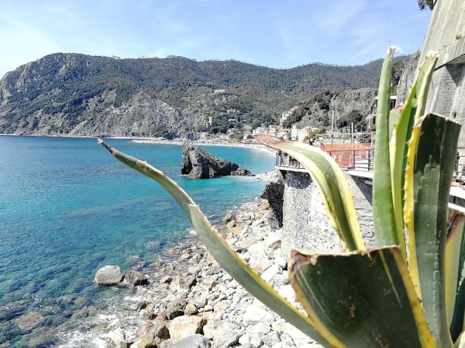 Nel Cuore Di Monterosso Cinque Terre Orto Di Ciack Монтероссо-аль-Маре Екстер'єр фото